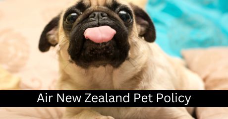 Air New Zealand Pet Policy