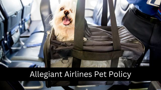 Allegiant Airlines Pet Policy