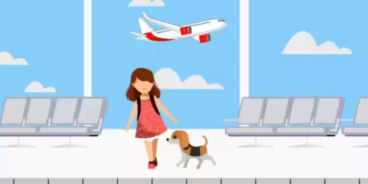 Avianca Airline Pet Policy