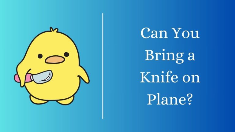 Can You Bring a Knife on Plane