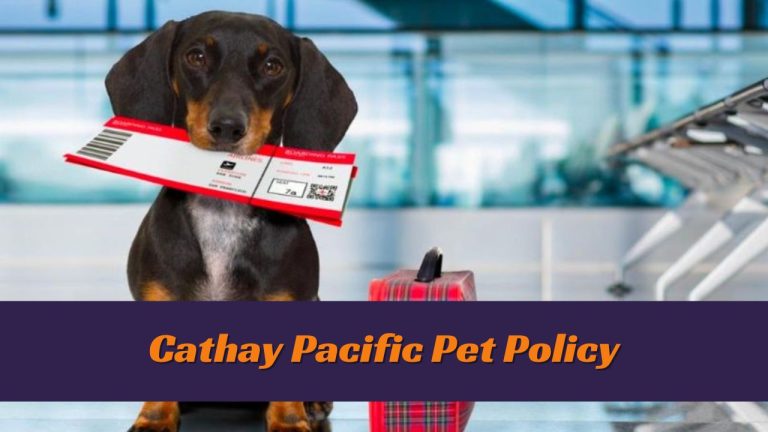 Cathay Pacific Pet Policy
